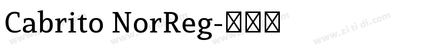 Cabrito NorReg字体转换